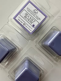 Image 2 of Sea Salt Bloom