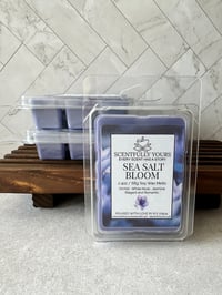 Image 1 of Sea Salt Bloom