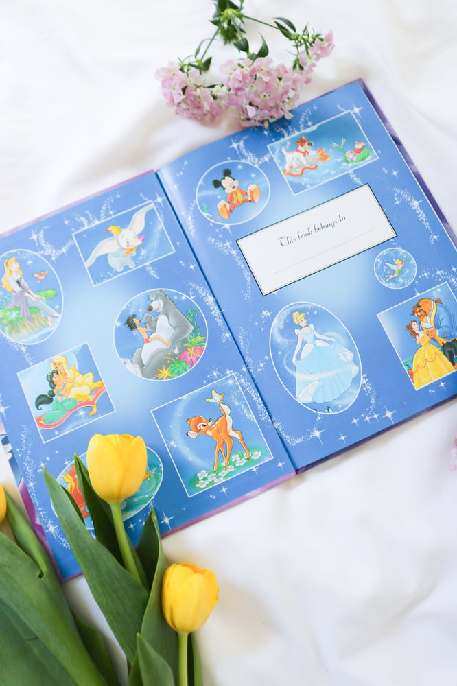 Image of Vintage to Modern Disney Princess Coffee Book Bundle - Set of 5