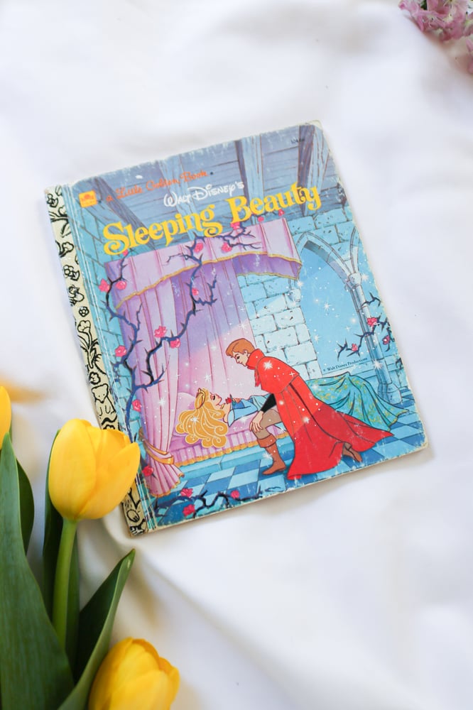 Image of Vintage to Modern Disney Princess Coffee Book Bundle - Set of 5