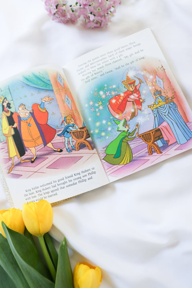 Image of Vintage to Modern Disney Princess Coffee Book Bundle - Set of 5