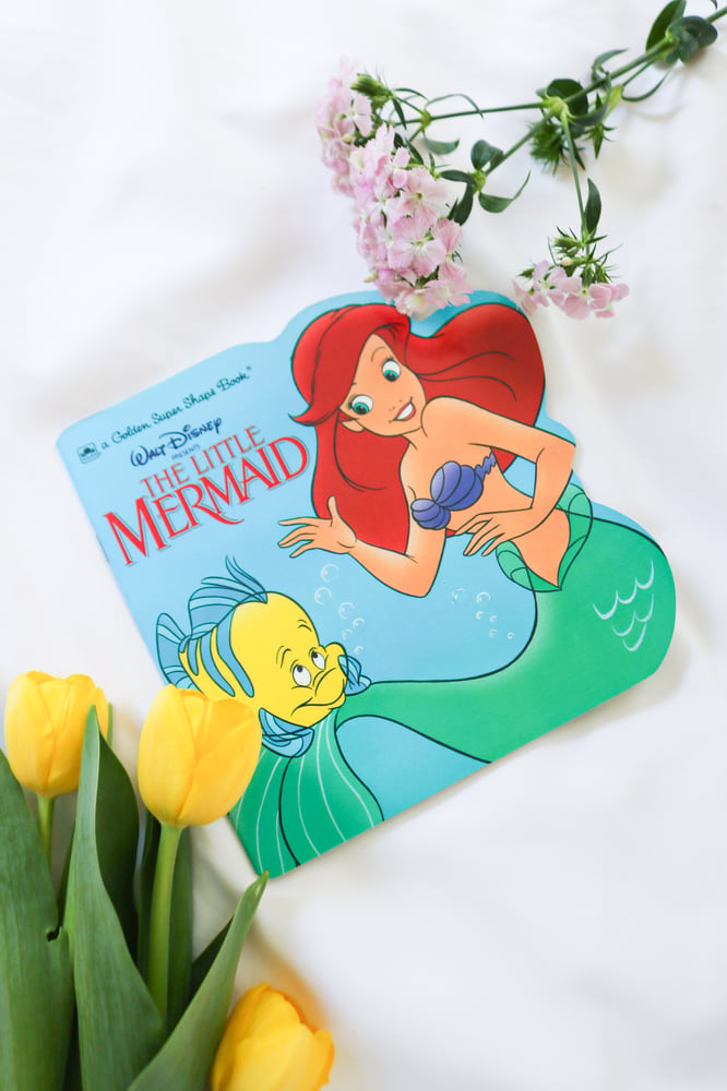 Image of Vintage to Modern Disney Princess Coffee Book Bundle - Set of 5