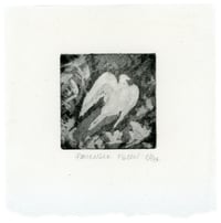 Image 5 of Mammoth through Passenger Pigeon