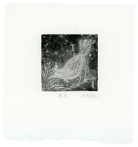 Image 4 of Mammoth through Passenger Pigeon