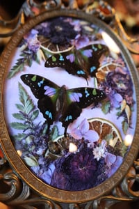 Image 4 of Claudia Purple™️