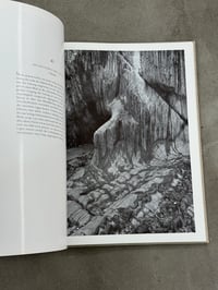 Image 6 of Gestein [Rock] - Albert Renger-Patzsch