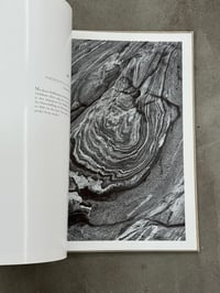 Image 11 of Gestein [Rock] - Albert Renger-Patzsch