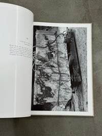 Image 12 of Gestein [Rock] - Albert Renger-Patzsch