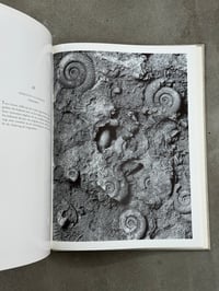 Image 13 of Gestein [Rock] - Albert Renger-Patzsch
