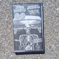MANKIND'S DEVASTATION/POSSESSED HEMORRHAGE/PERFORATED SAC/ENVIRONMENTAL POLLUTION "SPLIT" TAPE