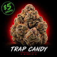 Image 2 of Trap Candy