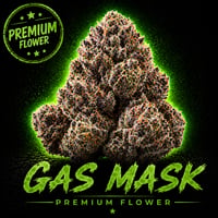 Image 2 of Gas Mask