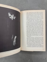 Image 9 of Horror Movies: An Illustrated Survey - Carlos Clarens