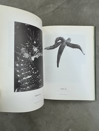Image 2 of Science is Fiction: The Films of Jean Painlevé - Ed. Andy Masaki Bellows et al. 