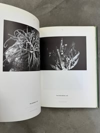 Image 3 of Science is Fiction: The Films of Jean Painlevé - Ed. Andy Masaki Bellows et al. 