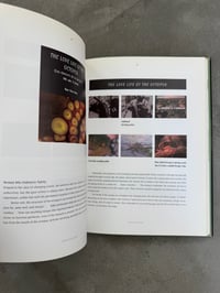 Image 6 of Science is Fiction: The Films of Jean Painlevé - Ed. Andy Masaki Bellows et al. 
