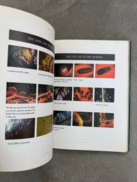 Image 9 of Science is Fiction: The Films of Jean Painlevé - Ed. Andy Masaki Bellows et al. 