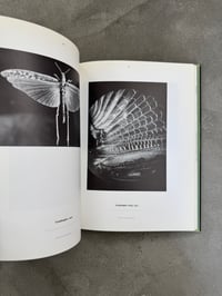 Image 13 of Science is Fiction: The Films of Jean Painlevé - Ed. Andy Masaki Bellows et al. 