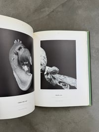 Image 15 of Science is Fiction: The Films of Jean Painlevé - Ed. Andy Masaki Bellows et al. 