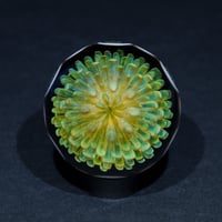 Image 1 of Emerald Pulse