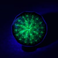 Image 2 of Emerald Pulse