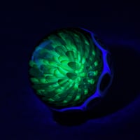 Image 4 of Emerald Pulse