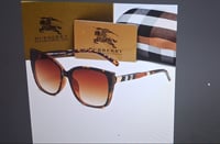 BB SHADES II