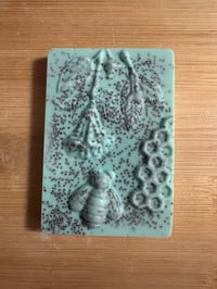 Image 3 of Enchanted Melon