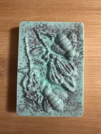 Image 1 of Enchanted Melon