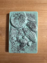 Image 2 of Enchanted Melon