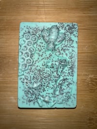Image 6 of Enchanted Melon