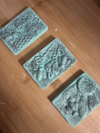 Image 4 of Enchanted Melon