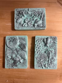 Image 8 of Enchanted Melon