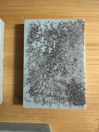 Image 1 of Stardust Sands