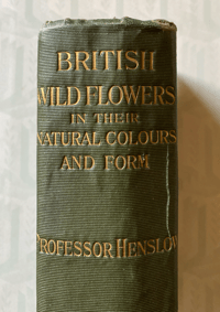 Image 6 of British Wild Flowers 