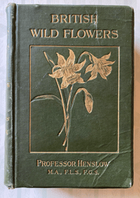 Image 1 of British Wild Flowers 