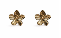 Image 1 of The Dahlia Studs 
