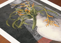 Image 2 of Hawk-feet in bloom · Riso Print