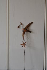 Image 4 of Swift with bluebell