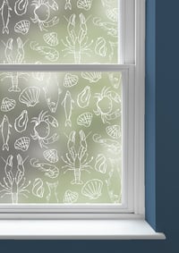 Frutti di Mare Window Film
