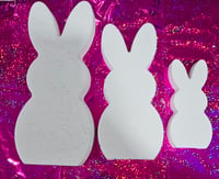 The Bunny bundle ( Includes shipping )