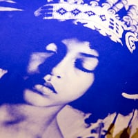 Image 6 of B.brave (Blue & Gold)