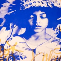 Image 4 of B.brave (Blue & Gold)