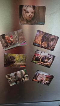 Image 2 of Magnets