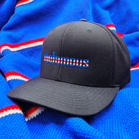 The Famous Snapback 