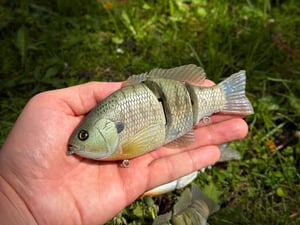 Image of 6” Ann 3 Piece (Juvie Gill)