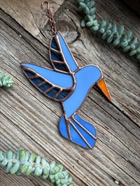 Blue Hummingbird