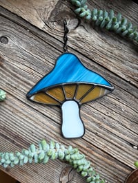 Blue Mushroom