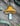 Orange Mushroom