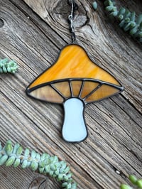 Orange Mushroom
